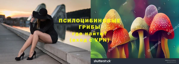 соль ск Алзамай