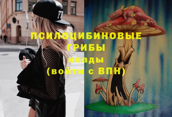 МДПВ Алексин