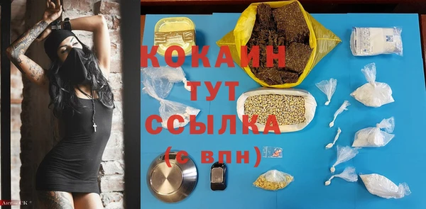 МДПВ Алексин