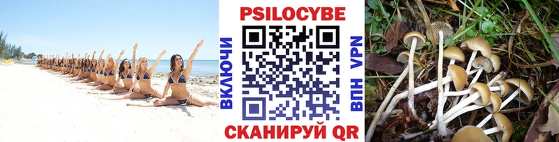 Галлюциногенные грибы прущие грибы  Железноводск 